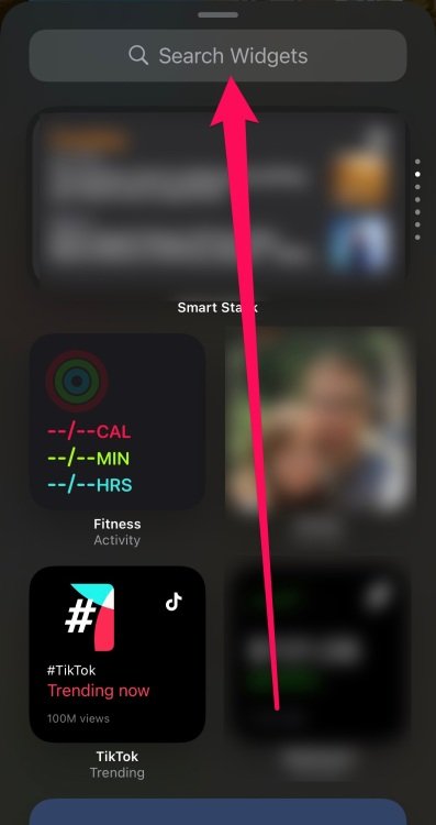 Screenshot of an iPhone with the "Search Widgets" field highlighted. 